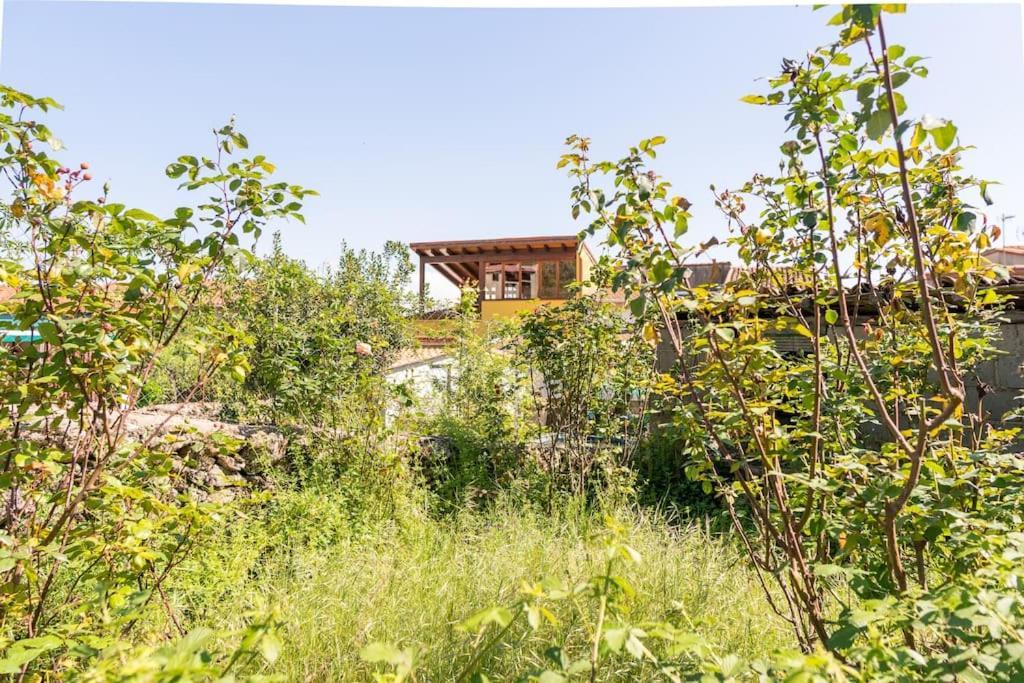 Casa La Vera Rural Talaveruela Eksteriør billede